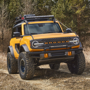 Bronco