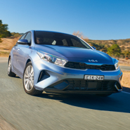 Cerato
